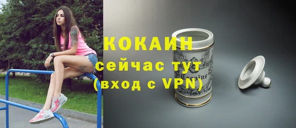 сатива Нефтекумск