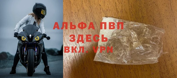 гашик Бежецк