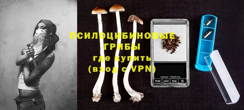 Псилоцибиновые грибы Psilocybe  дарнет шоп  Серпухов 