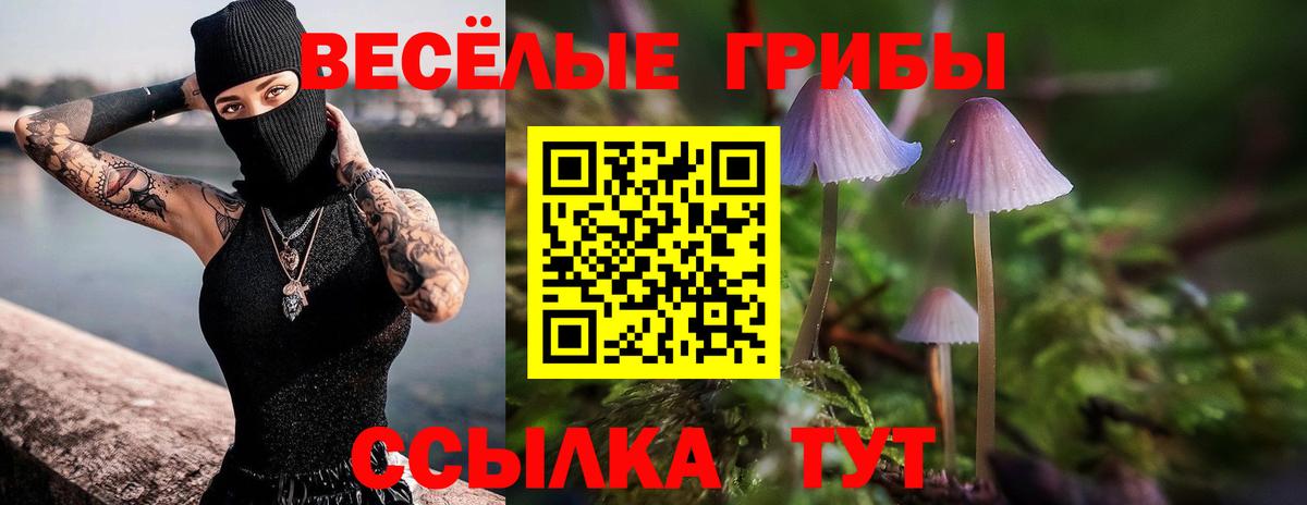 Галлюциногенные грибы Cubensis  Галлюциногенные грибы GOLDEN TEACHER  Серпухов  наркота  Вход с VPN 