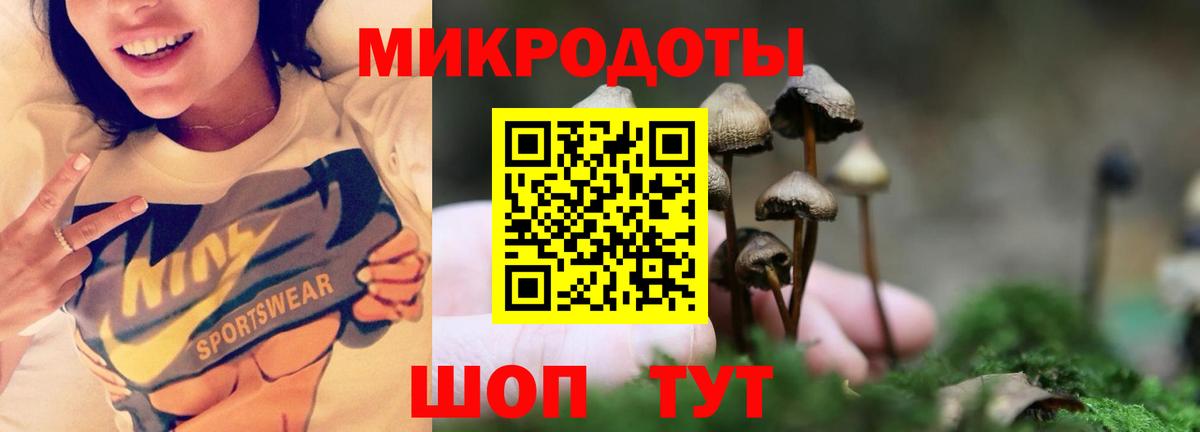 Псилоцибиновые грибы MAGIC MUSHROOMS Серпухов